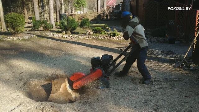 Удаление пня методом фрезерования в Минском районе машиной Husqvarna SG13 смотреть онлайн