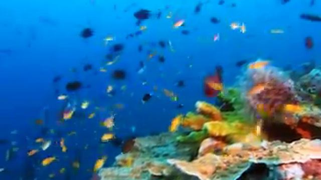 Самые красивые уголки мира смотреть онлайн