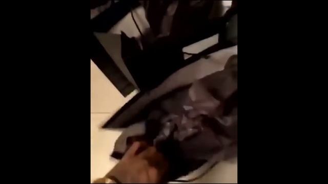 Deadly Social Media: The Final Hours of Pop Smoke смотреть онлайн