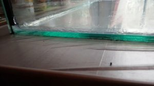 Замена дна аквариума часть 2