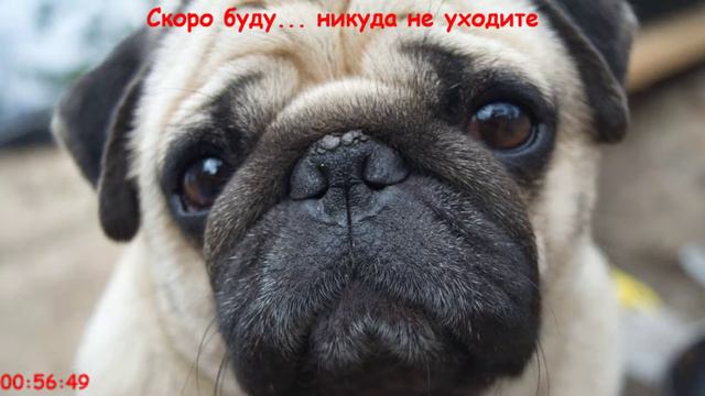 Alien Isolation часть 8 .. Это конец... смотреть онлайн