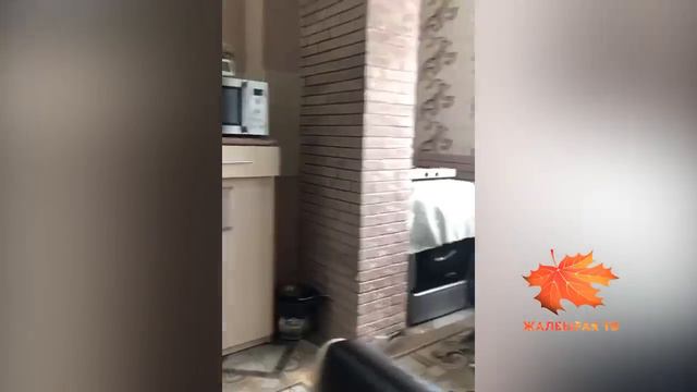 Текебаев Сыймык Жапыкеевдин кухнясында конокто смотреть онлайн