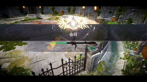 Paladin Rework Skill build, Combo And PvP - Black Desert Mobile