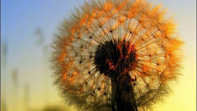 DeeJay Dan - E-motion 8 [2016] смотреть онлайн