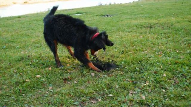 Счастливое детство.wmv смотреть онлайн