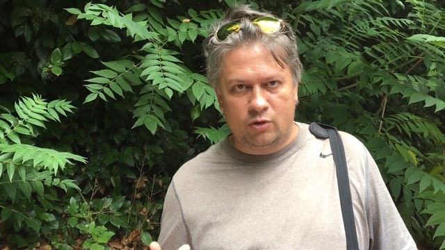 Олег Николаевич Верещагин о том как заинтересовать детей историей смотреть онлайн