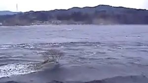 Цунами в Японии. Съемка из самого пекла!