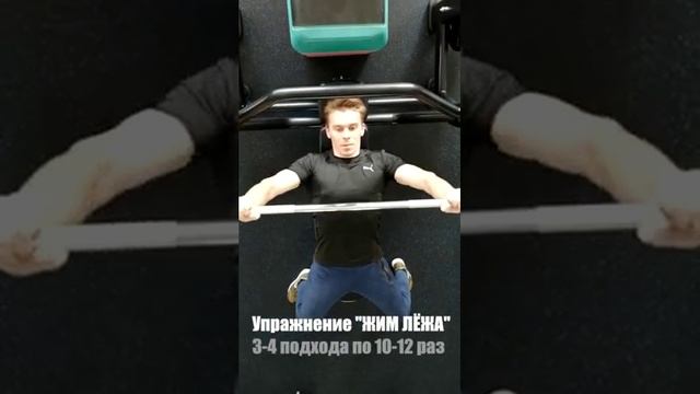Программа тренировок для новичка смотреть онлайн
