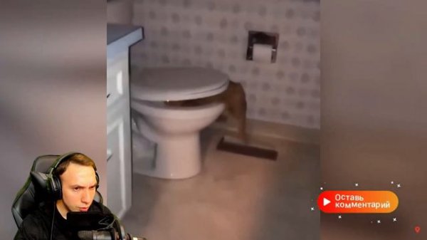 ЗАСМЕЯЛСЯ - ПОДПИСАЛСЯ! ЛУЧШИЕ ПРИКОЛЫ 2020 АВГУСТ ТЕСТ НА ПСИХИКУ УГАР! #5 СОЮЗ СМЕХА