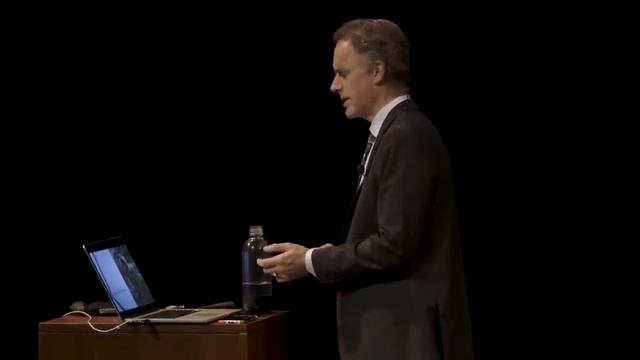 Джордан Питерсон о Психоделиках.mp4 смотреть онлайн