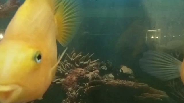 23 сентября 2022 г. смотреть онлайн