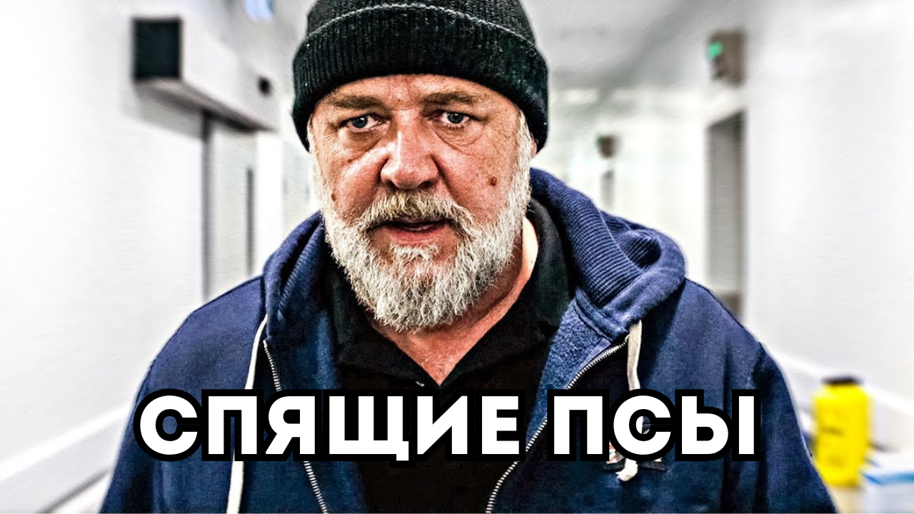 Спящие псы смотреть онлайн