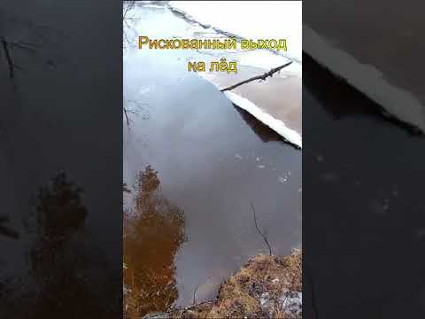 Рискнул ради рыбалки #shorts смотреть онлайн