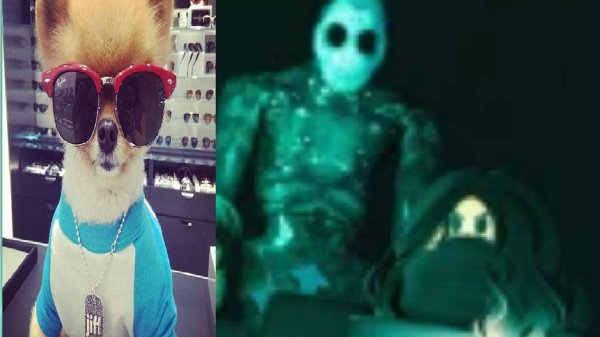 Играем в Specter теперь я про!!!