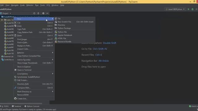 #9 Aula de Banco de Dados MySql em Python (UPDATE, DROP, DELETE) смотреть онлайн