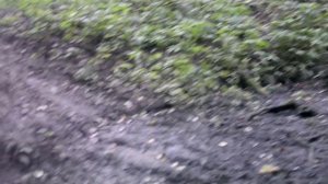 Кунцевское городище. Древние находки