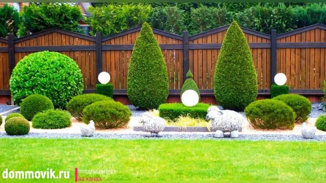 Туи в ландшафтном дизайне: выбираем интересные идеи 50 фото