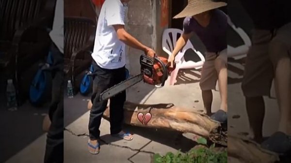 3e287c12b730bb5b33c97871299a3313.mp4