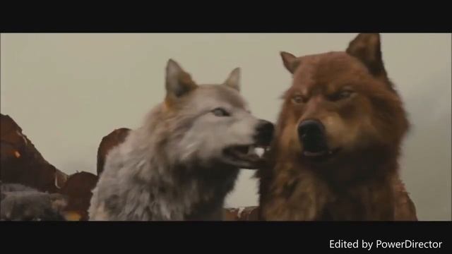 Twilight Wolves - Best Friend