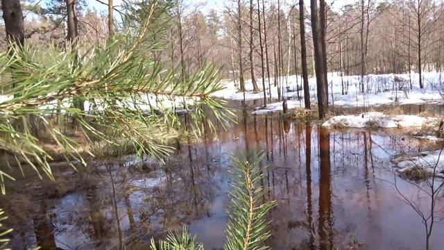 Весенние ручьи.. смотреть онлайн