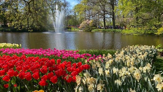 Keukenhof Gardens 2022 Walk Through