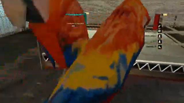 Попугаичьи бои смотреть онлайн