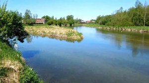 Река Ижора. Рыбалка в Ленинградской области.