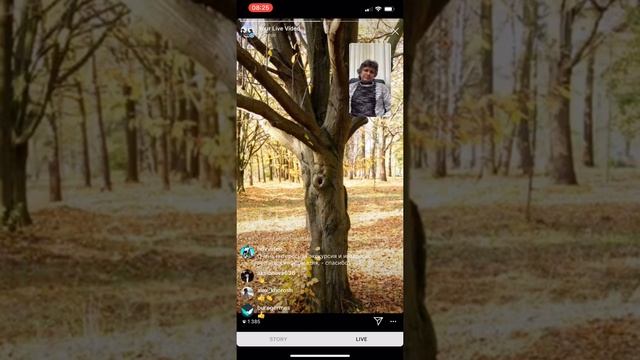 Онлайн экскурсия по Тисо-самшитовой роще смотреть онлайн