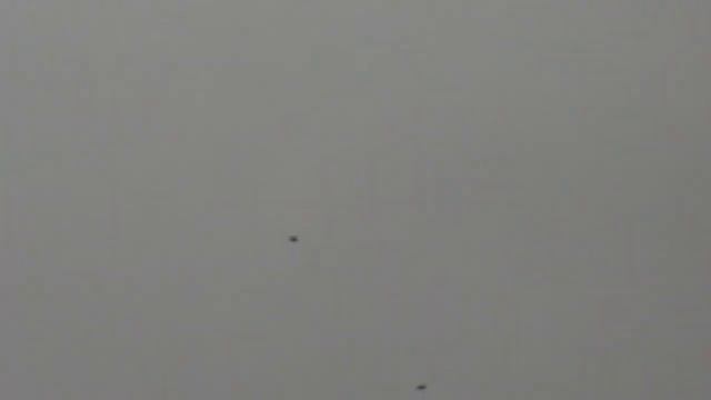 Голуби стоят над головой смотреть онлайн