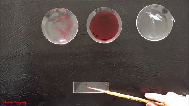 How to Prepare Stained Temporary Mount of Onion Peel | Onion PEEL Under Microscope (HINDI)