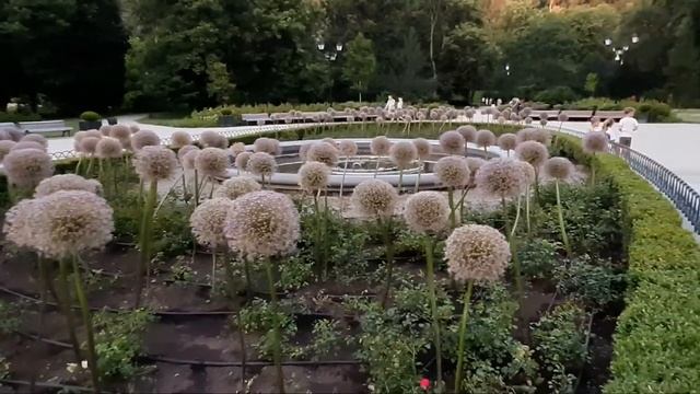 VLOG #Вильнюс ♥️ VILNIUS WALKING TOUR Прогулка По Вильнюсу