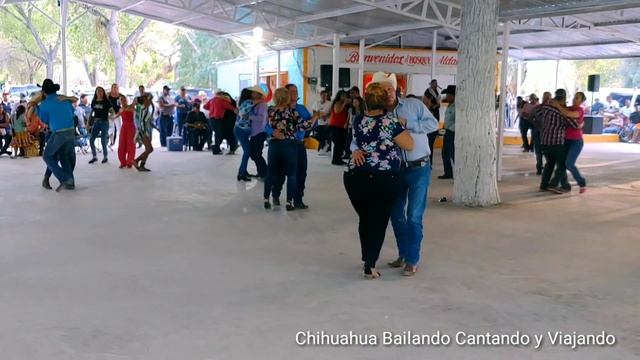 Vamos a chihuahua a un baile смотреть онлайн