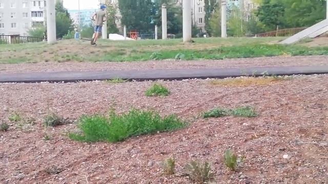 Что они вытворяют? Пошли гулять, трюки на самокатах ? смотреть онлайн