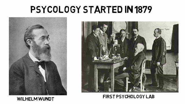 What Is Psychology | A Brief Introduction To Psychology