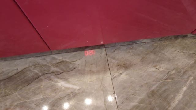 влог: КОТЫ ДЕРУТСЯ одни дома! УПАКОВЫВАЕМ ПОДАРКИ смотреть онлайн