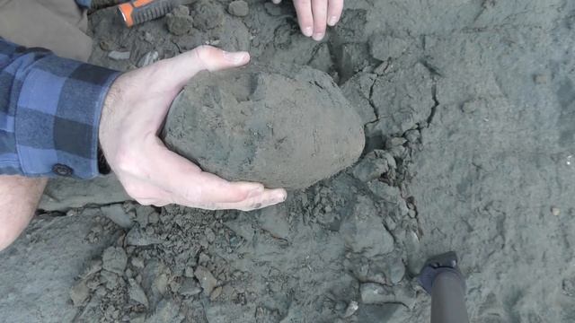 Fossil hunting a new area and a tricky fossil prep - fossil crabs, bird skull and a large nautiloid смотреть онлайн