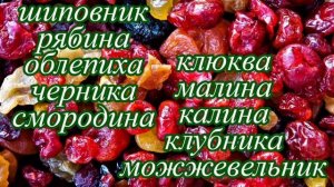 Чем кормить шиншиллу. Питание шиншилл.