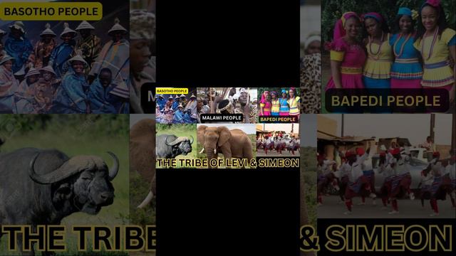 THE ISRAELITES ARE IDENTIFIED BY THEIR LANGUAGE AND CLANS; GENESIS 49 смотреть онлайн