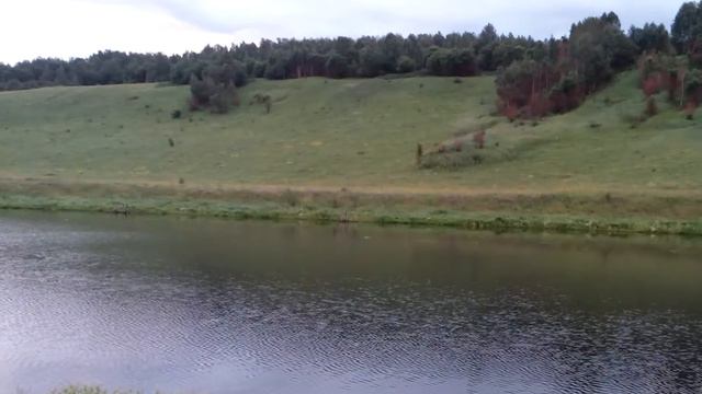 Река Зуша. Орловская область. Лето 2015 смотреть онлайн
