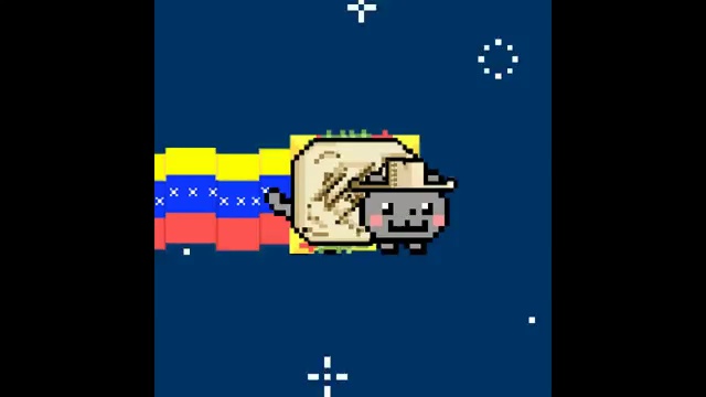 Le Nyan cat Vénézuélien смотреть онлайн