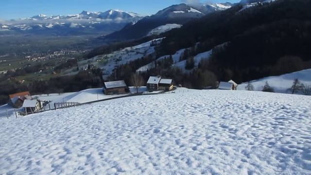 Snowdog смотреть онлайн
