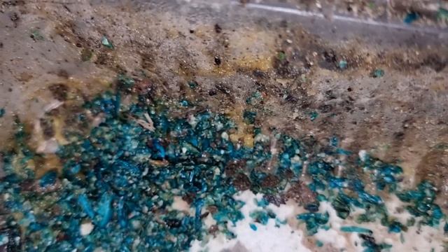 4253 Морковь и яблоки червям, приманка грызунам смотреть онлайн