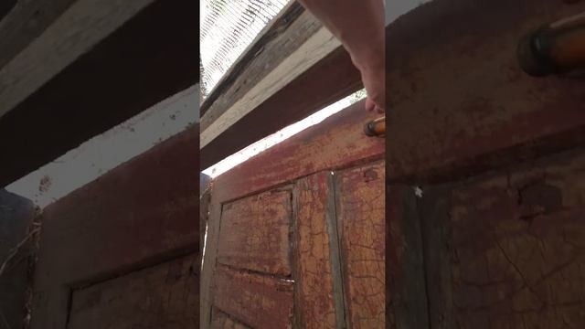 гуси,утки и содержание смотреть онлайн