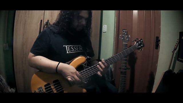 Jinjer - Pisces [Bass Cover] смотреть онлайн