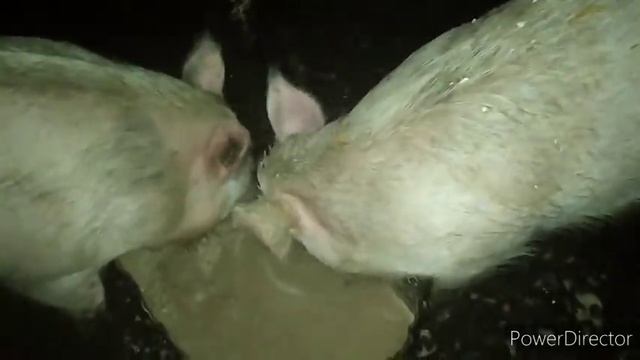 ОЦЕНИТЕ МАСШТАБ БЕДСТВИЯ, ПОЛНЫЙ ОБЗОР ХОЗЯЙСТВА МАЙ 2020 смотреть онлайн