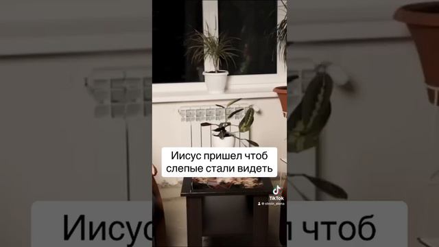 Иисус пришел на землю, чтоб слепые стали видеть смотреть онлайн