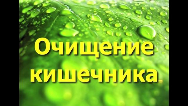 Очищение кишечника при помощи растительных пектинов ( свекла, тыква, яблоки) смотреть онлайн