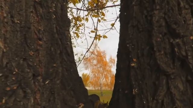 ♫*´¨`•.¸¸.♫│МОРЕ СЕНТЯБРЯ ☂ KORG S ☂ ▌-▌▌│ ♫´¨`*•.¸¸♥ смотреть онлайн