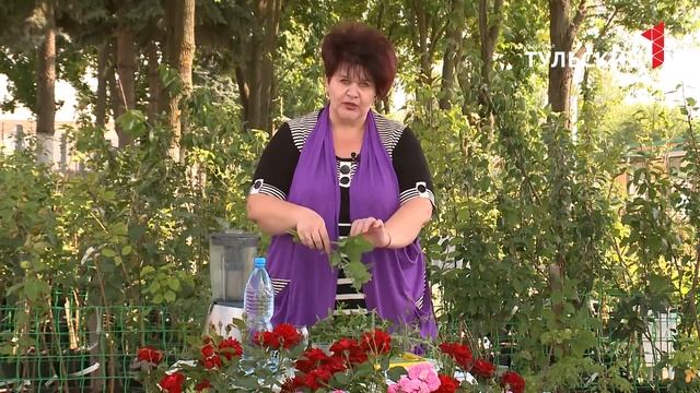 Рецепты веганских супов