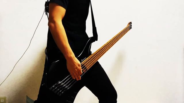 Architects - Gravity || Bass Cover смотреть онлайн